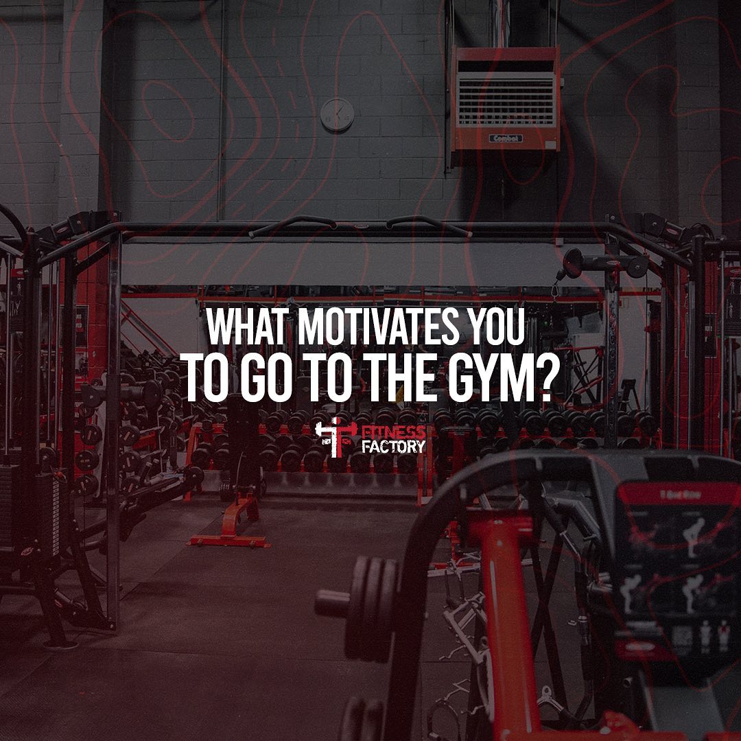 downloadgram.org_328287451_134791636136874_7755970755095831708_n